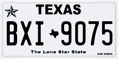 TX license plate BXI9075