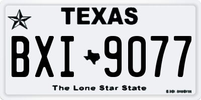 TX license plate BXI9077