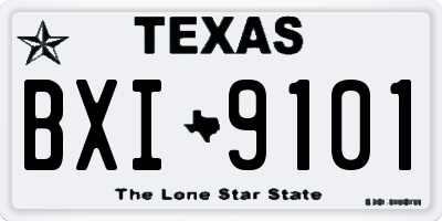 TX license plate BXI9101