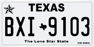 TX license plate BXI9103