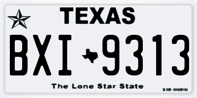 TX license plate BXI9313