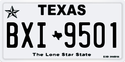 TX license plate BXI9501