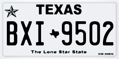 TX license plate BXI9502