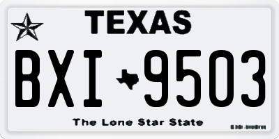 TX license plate BXI9503