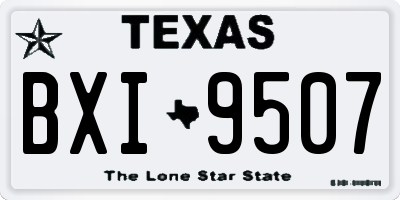 TX license plate BXI9507