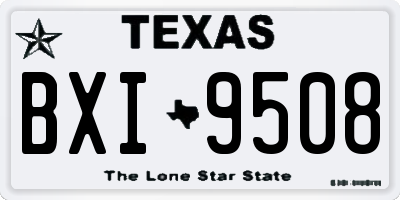 TX license plate BXI9508