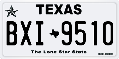 TX license plate BXI9510