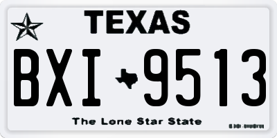 TX license plate BXI9513