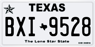 TX license plate BXI9528