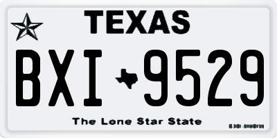 TX license plate BXI9529