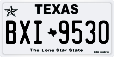 TX license plate BXI9530
