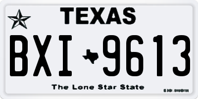 TX license plate BXI9613