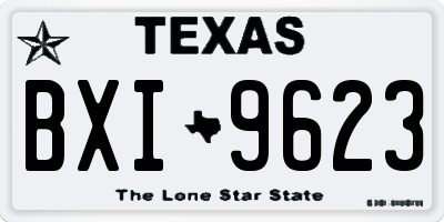 TX license plate BXI9623