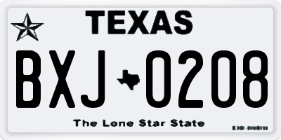 TX license plate BXJ0208