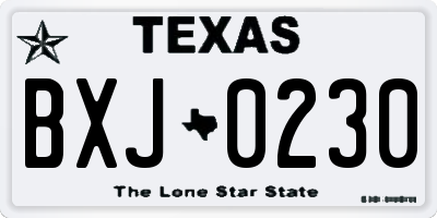 TX license plate BXJ0230