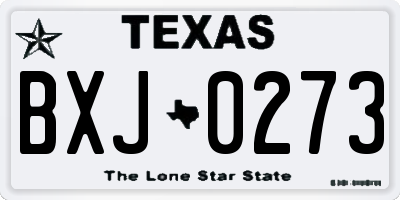 TX license plate BXJ0273