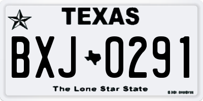 TX license plate BXJ0291