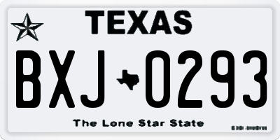 TX license plate BXJ0293