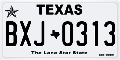 TX license plate BXJ0313