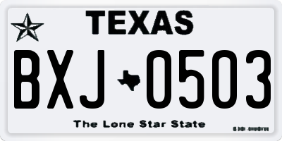 TX license plate BXJ0503