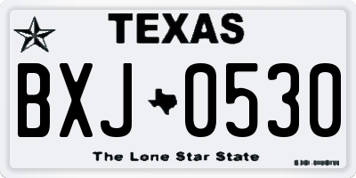 TX license plate BXJ0530