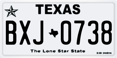 TX license plate BXJ0738
