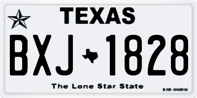 TX license plate BXJ1828