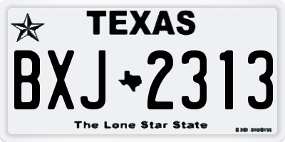 TX license plate BXJ2313
