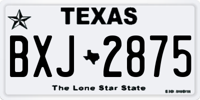 TX license plate BXJ2875