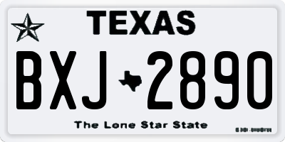 TX license plate BXJ2890