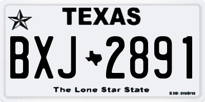 TX license plate BXJ2891