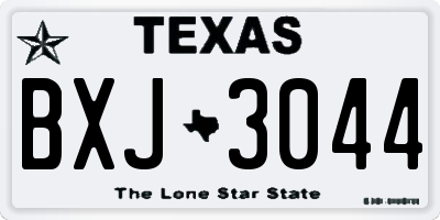 TX license plate BXJ3044