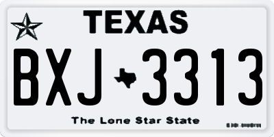 TX license plate BXJ3313