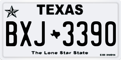 TX license plate BXJ3390
