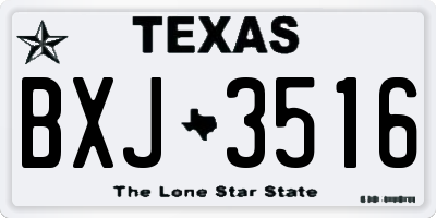 TX license plate BXJ3516