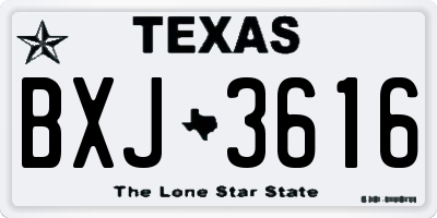 TX license plate BXJ3616