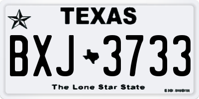 TX license plate BXJ3733