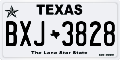 TX license plate BXJ3828