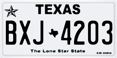 TX license plate BXJ4203