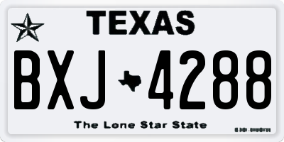 TX license plate BXJ4288