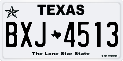 TX license plate BXJ4513