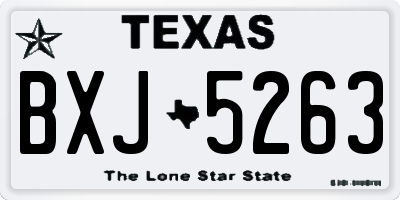TX license plate BXJ5263
