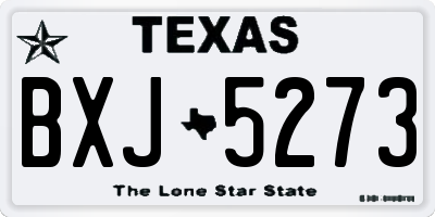 TX license plate BXJ5273