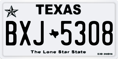 TX license plate BXJ5308