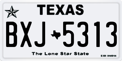 TX license plate BXJ5313