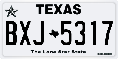TX license plate BXJ5317