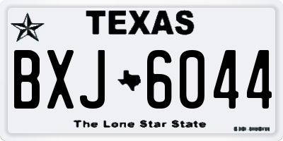 TX license plate BXJ6044