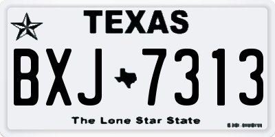 TX license plate BXJ7313