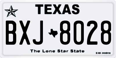 TX license plate BXJ8028