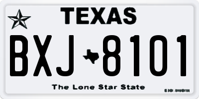 TX license plate BXJ8101